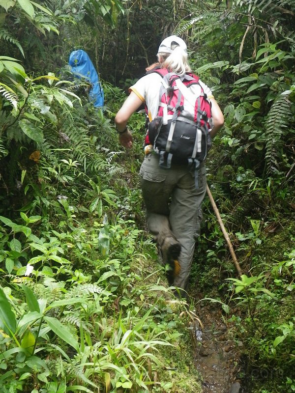 241 1008 IMGP0518_cr.jpg